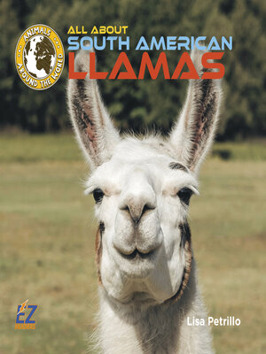 cover image of All About South American Llamas